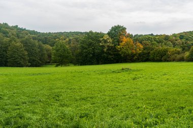 Ormanlı ve bulutlu bir sonbahar çayırı Almanya 'nın Plauen şehrindeki Syratal Vadisi