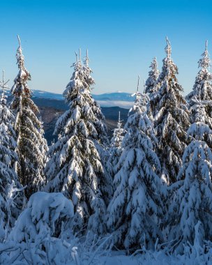 Babia hora, Çek Cumhuriyeti 'ndeki Moravskoslezske Beskydy Dağları' nda Lysa Hora Tepesi 'nin aşağısındaki yürüyüş parkurundan.