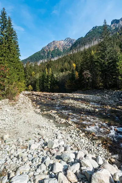 Koprova dolina vadisi Koprtovsky potok nehri, ormanı ve Slovakya 'daki yüksek Tatras dağlarının etrafındaki tepeleri ile