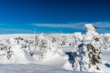 Slovakya 'daki Mala Fatra dağlarında Veterne Tepesi yakınlarında Martinske deliğinde harika bir kış günü.