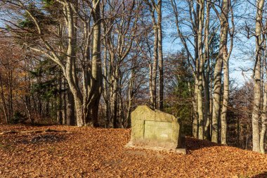 Çek Cumhuriyeti 'nin Slezske Beskydy dağlarındaki Filipka tepesinde güzel bir sonbahar günü zirvesi