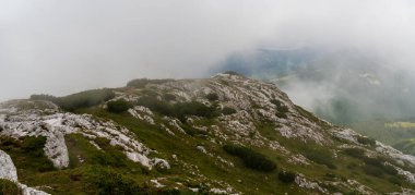 Romanya 'nın Piatra Iorgovanului tepesi yakınlarındaki kireçtaşı taşları, çayır ve dağ çamı ile tepeler bulutlu bir yaz gününde