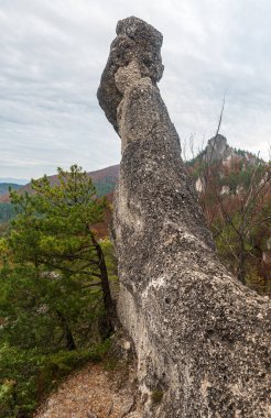 Sonbahar Sulovske skali dağları kaya oluşumları ve renkli ormanlarıyla Slovakya 'nın Sulovsky Hrad kentinden