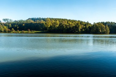 Pond with forest on the background during early autumn day with clear sky - Neuteich near Plauen city in Germany