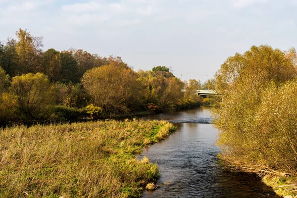 Wisla and Brennica river tributary with colorful trees around near Skoczow city in Poland during autumn