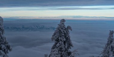 Jeseniky mountains above clouds from Lysa hora hill in Moravskoslezske Beskydy mountains in Czech republic during winte clipart