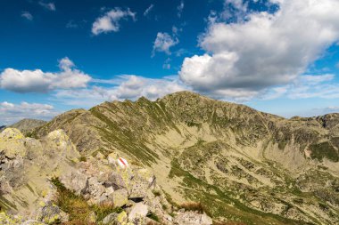 Çeşitli Peleaga tepeleri - Romanya 'nın en yüksek Retezat tepeleri güzel yaz günlerinde