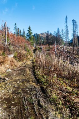 Koprova dolina valley with peak on the background in Tatra mountains in Slovakia during autumn day with clear sky clipart