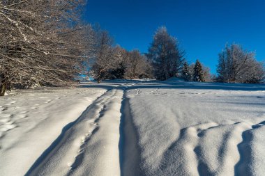 Winter above Oscadnica village in Kysucke Beskydy mountains in Slovakia with snow covered trail, trees and clear sky clipart