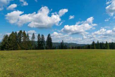 Meadow with trees and forest covered hills on the background  above Lutise village in Kysucka vrchovina mountains in Kysuce region in Slovakia clipart