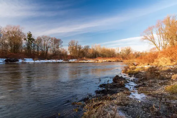 Czech 'teki Bohumn şehrinin etrafındaki ağaçlarla dolu Odra nehri, güzel kış gününde sınırlarını parlatıyor.