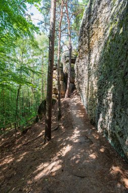Çek Cumhuriyeti 'nde güzel bir yaz günü, üzerinde dik kayalar ve orman böğürtüsü olan yürüyüş yolu - CHKO Kokorinsko - Machuv kraj' da prrolezovacky