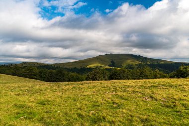 Beautiful and wild Carpathian mountains in Romania - Valcan mountains with mountain meadows and deep forest during beautiful summer day with blue sky and clouds clipart