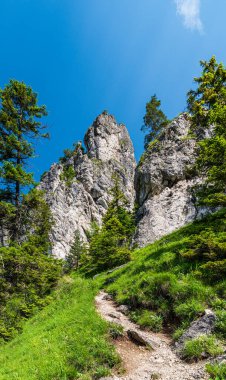 Slovakya 'daki Mala Fatra dağları - yukarıdaki kayalıkları gizlemek yaz boyunca Boboty Hill' e götürür.