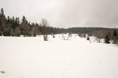 Çek Cumhuriyeti 'nin Moravskosske Beskydy dağlarında Chata Ostry yakınlarında bulutlu bir kış günü
