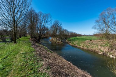 Nehir, Çek Cumhuriyeti 'nin Petrvaldik köyü yakınlarındaki Odra ve Bilovka nehrinin kavşağında açık gökyüzü ile ilkbahar günü erken saatlerde ağaçlar ve çayırlarla birleşiyor.