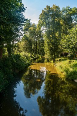 Sazava nehri, Çek Cumhuriyeti 'nin Sazava kenti yakınlarında güzel bir yaz günü yaşanmaktadır.