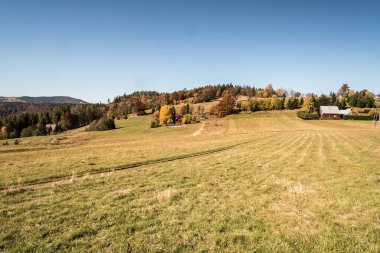 Prtegibek 'in sonbaharda Polonya' daki Beskid Zywiecki dağları Slovakya sınırına yakın.