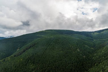 Çek Cumhuriyeti 'nin Jeseniky dağlarındaki Dlouhe strane tepesi çoğunlukla bulutlu bir yaz günü
