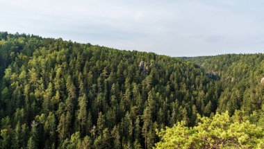 Az kayası olan orman - Çek Cumhuriyeti 'nin Teplicke skaly kentindeki Strmen şatosunun manzarası sonbahar başlarında harabeye döndü