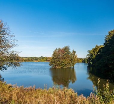 Pond with small isle and colorful trees during autumn day with clear sky - beuatiful landscape of Vogtland near Plauen city in Germany