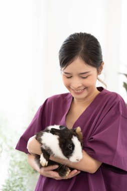 Tavşan tutan bir kadın veterinerin portresi. Neşeli bayan veteriner tavşanı tutuyor, zamanında evcil hayvan sağlığı muayenesi. Veteriner kadının elleri evcil hayvanı tedavi ediyor..
