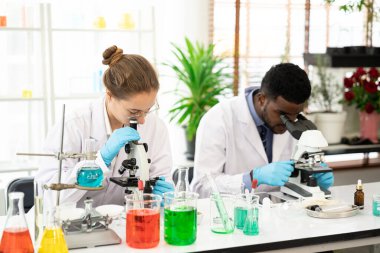 Bir grup mikrobiyolog mikroskop içinde laboratuvar yetiştirilmiş sebze eti örneğine bakıyor. Bitki temelli çalışan bir tıp bilimcisi. Mikroskop kullanarak tıbbi biyoteknoloji araştırma laboratuvarı.