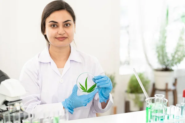 Scientist or doctor in white lab coat holding marijuana leaf on palm. Showing cannabis leaf on hand. Alternative medicine or healthcare pharmacy concept.