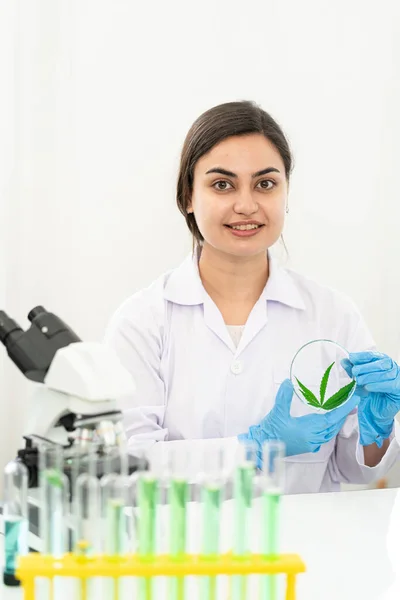 Scientist or doctor in white lab coat holding marijuana leaf on palm. Showing cannabis leaf on hand. Alternative medicine or healthcare pharmacy concept.