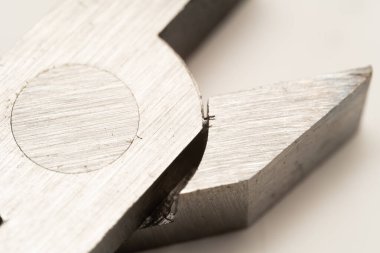 Kerpeteni beyaz arka planda kapat. Seçici odak.