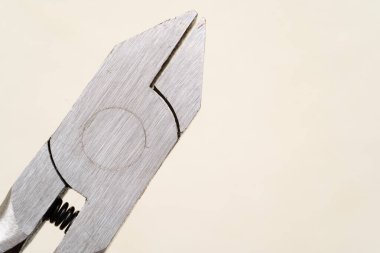 Kerpeteni beyaz arka planda kapat. Seçici odak.