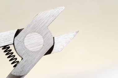 Kerpeteni beyaz arka planda kapat. Seçici odak.