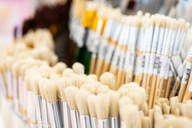 Sanatçı için bir grup sanatsal fırça. Kırtasiyedeki raflarda yeni boya fırçaları. Resim konsepti. seçici odak