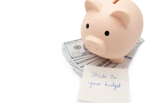 Text Schriftliche Notiz Stick Your Haushalt Und Sparschwein Auf Dollar — Stockfoto