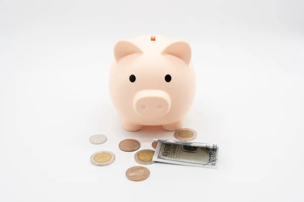 Sparschwein Mit Dollar Und Münzen Finanzen Sparkonzept Sichere Finanzierung Von — Stockfoto