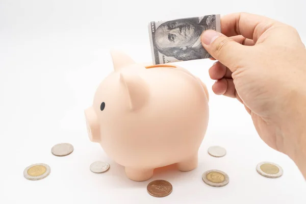 Sparschwein Mit Dollar Und Münzen Finanzen Sparkonzept Sichere Finanzierung Von — Stockfoto