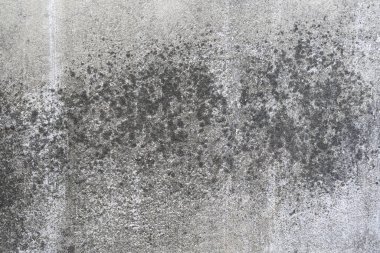 Su hasar binası. Suyun hasarlı duvarı. Ev Sorunu.