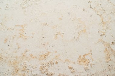 Zehirli küf büyümesi. Rutubetli su hasarlı bina. Küf banyonun köşesinde. İç kısımda su hasarı var. 