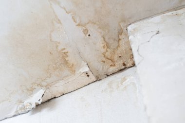 Eski bir evin tavanındaki su hasarlı çatı. İç kısımda su hasarı var