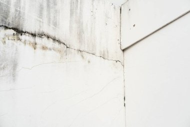 Mantar duvarda arka planda, bakteri beton duvarda. Eski, beyaz duvar, eski püskü alçı çimento ve kirli deri dökücü alçı desenli arka plan. Çatlak beton duvar. Boşluğu kopyala.