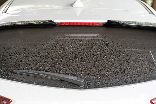 Arka pencere hatchback kirli araba arka penceresi tozlu bir cam üzerinde. Beyaz veya gri bir arabanın kirli ve tozlu arka penceresi.