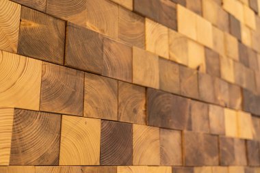 Ağaç Halkaları ile ahşap duvar dokusu istiflenmiş. Kare şeklindeki tahta bloklardan yapılmış dekoratif bir duvar, doğal ağaç halkaları ve ahşap desenler sergiliyor..