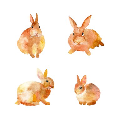 Set of 4 hand drawn watercolor rabbits. Brown watercolor rabbits. Chinese new year of rabbit. Easter rabbits.