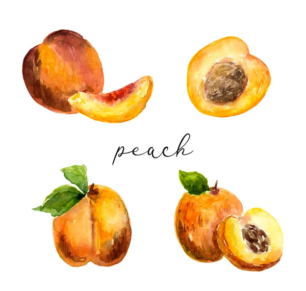 Set Watercolor Peaches Apricots — Stock Vector