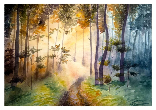 手绘水彩画落日落木 水彩艳丽的森林景观 — 图库矢量图片