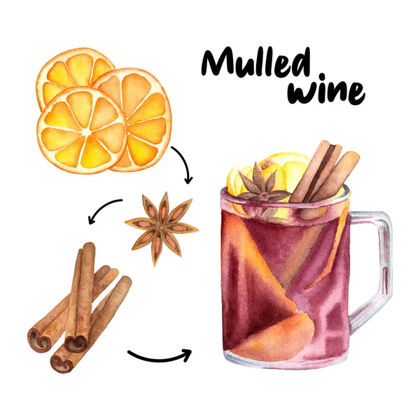 Watercolor set of mulled wine ingridients. Mulled wine set of cinnamon sticks, star anise and dried slices of orange. Vector mulled wine set perfect for illustrating recipes, menu.