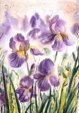 Watercolor iris painting. Hand painted watercolor iris, Violet iris painting. Violet watercolor flowers. Botanical painting.