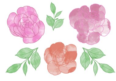 Şakayıklı suluboya kart süslemeleri için kullanılabilir