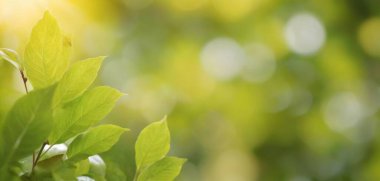 Yaprak bokeh arkaplana sahip pankartlar, sporcuları ve taraftarları motive eden ve harekete geçiren bir canlılık patlaması ekliyor.