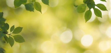 Yaprak bokeh arka planlı spa posterleri, müşterileri sakinleştiren ve cezbeden sakin ve doğadan esinlenilmiş bir görsel yaratıyor..